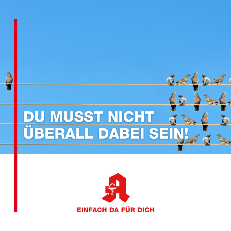 Vögel auf Leitung