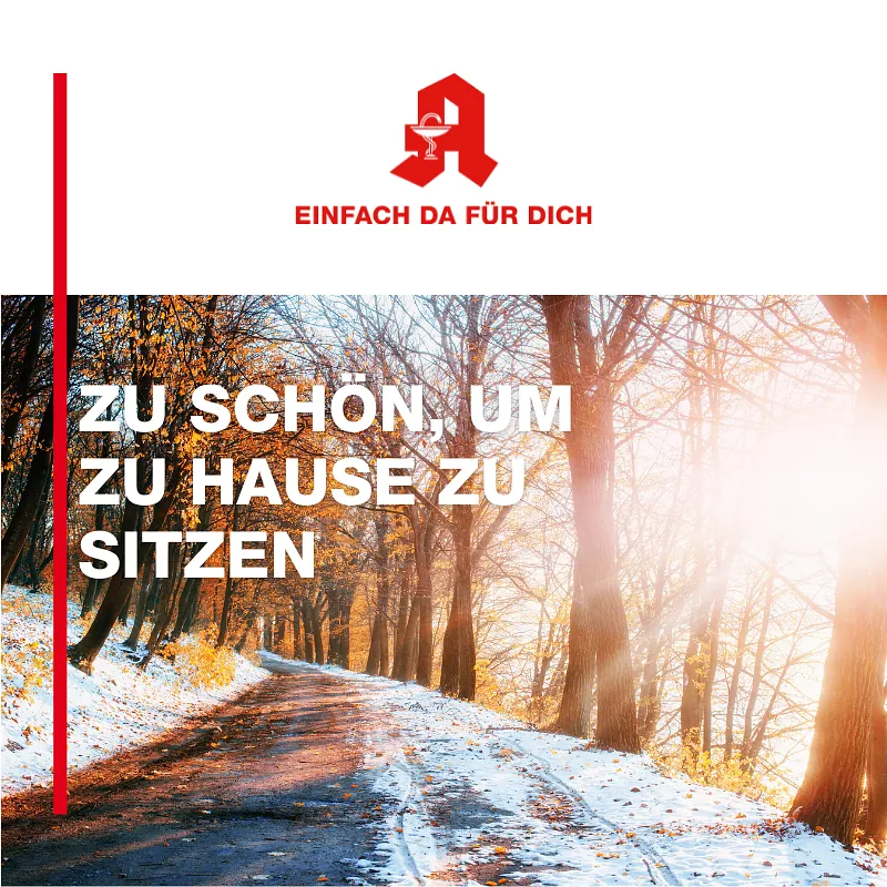 Waldweg im Winter